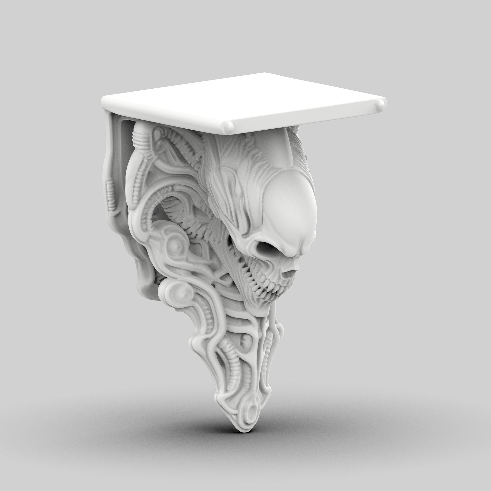 Kafatası Raf - Öfke