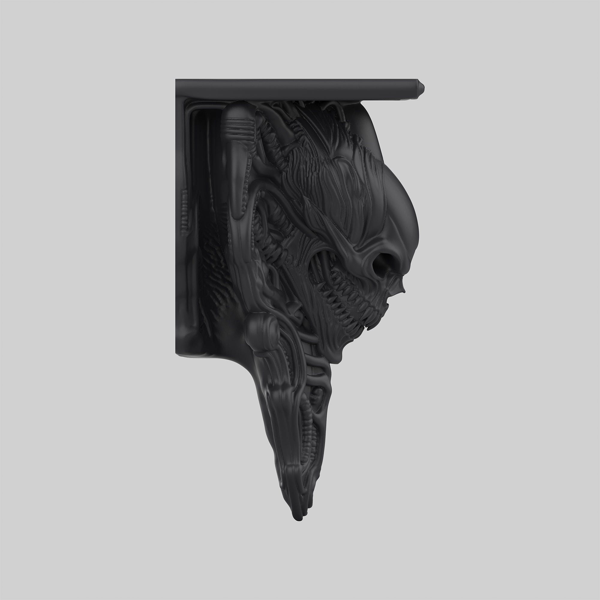 Kafatası Raf - Öfke