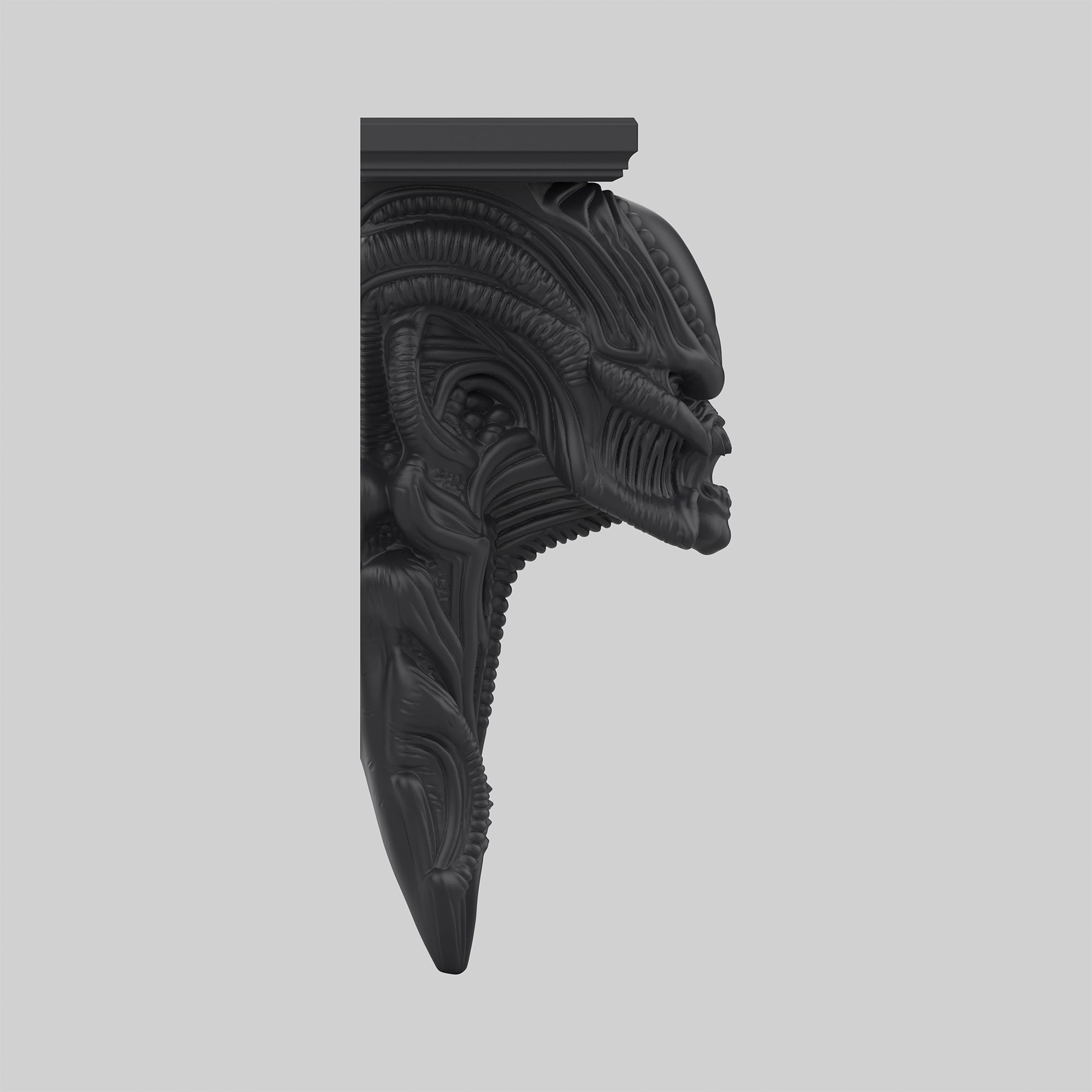 Predator Raf - Yırtıcı