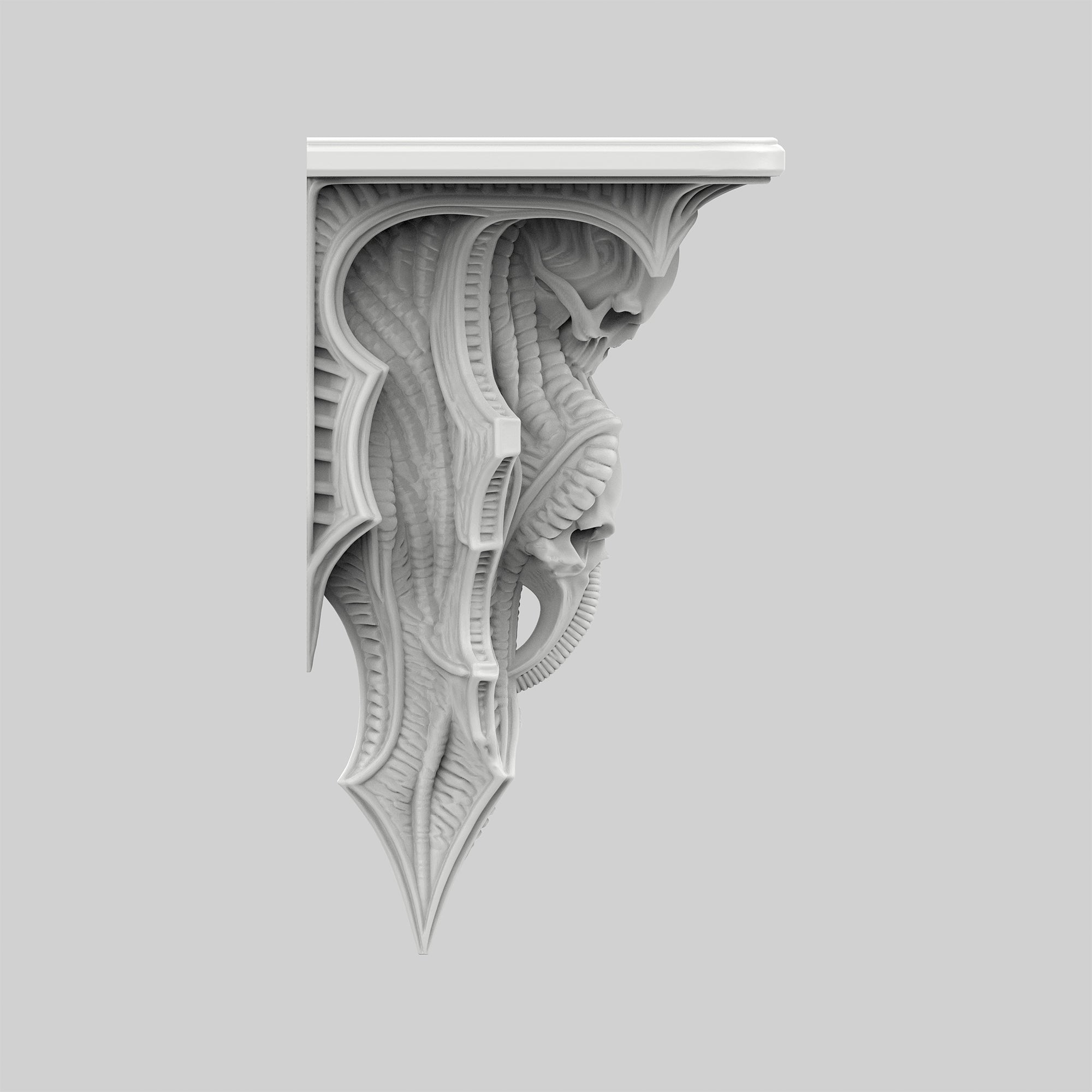 Kafatası Raf - Kontrol