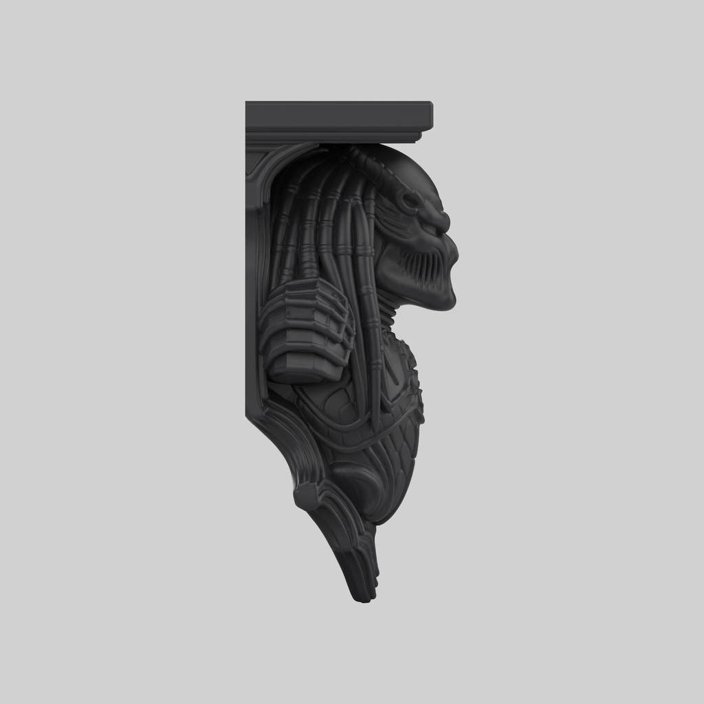 Predator Raf - General
