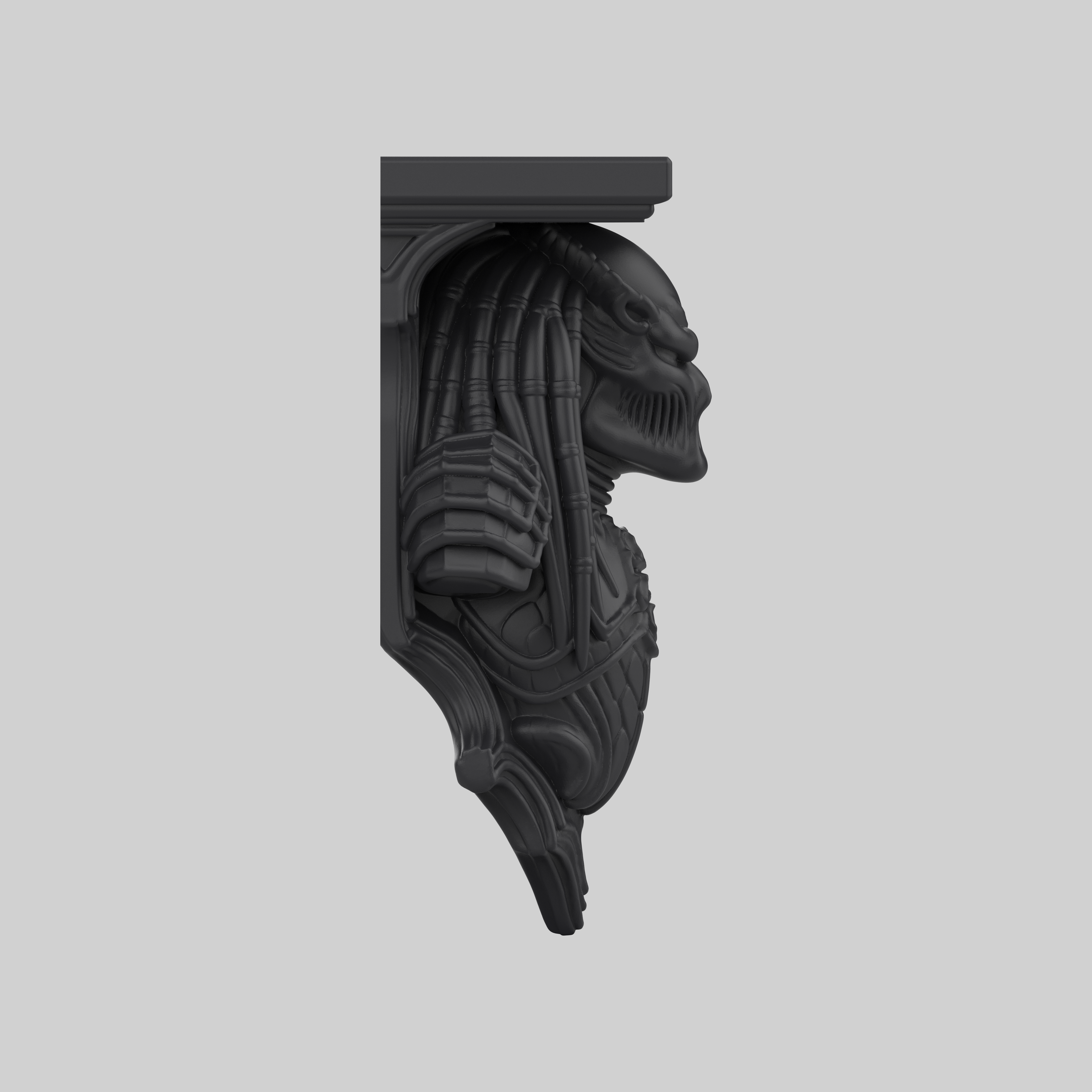 Predator Raf - General
