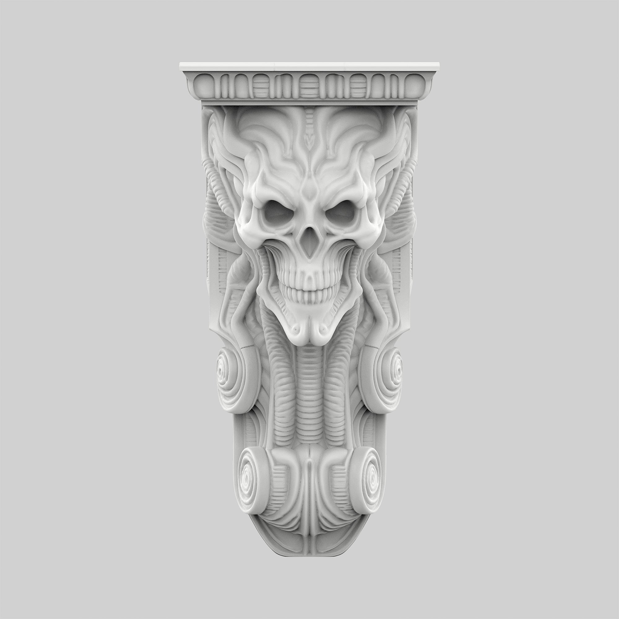 Kafatası Raf - Şakak