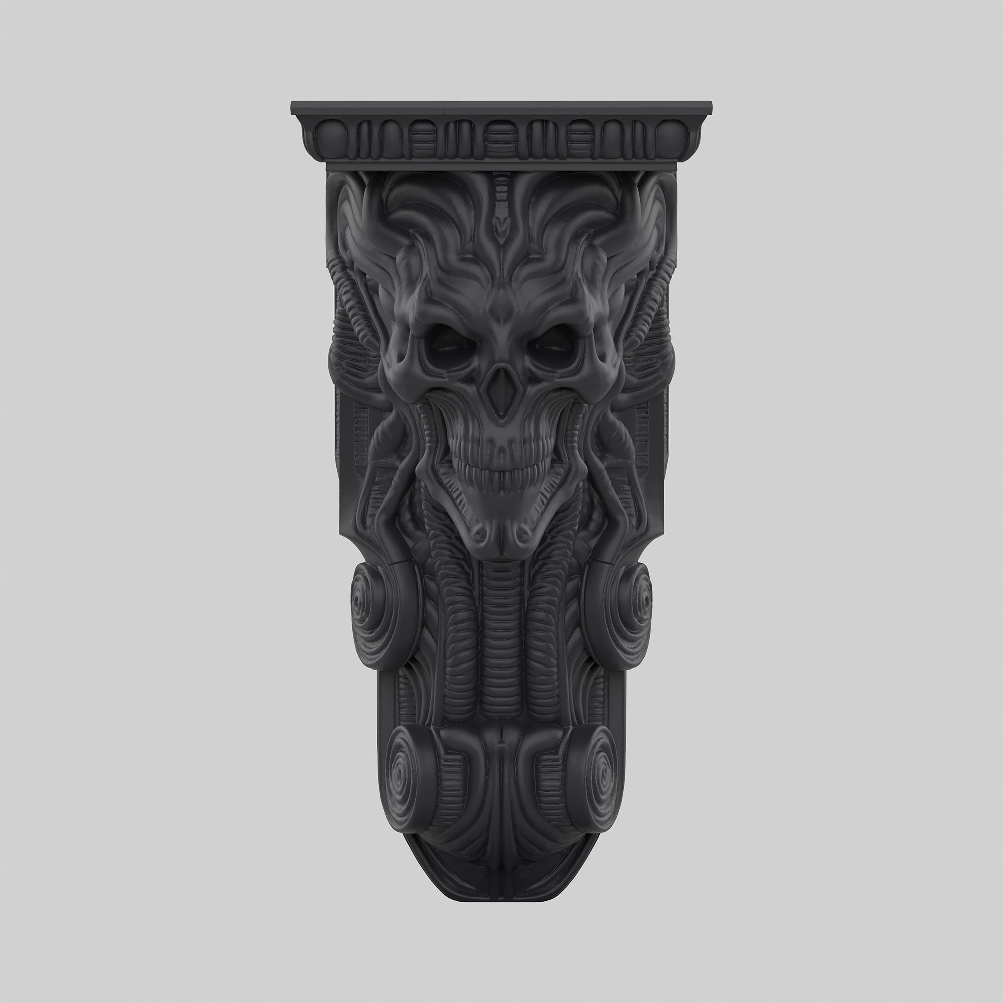 Kafatası Raf - Şakak