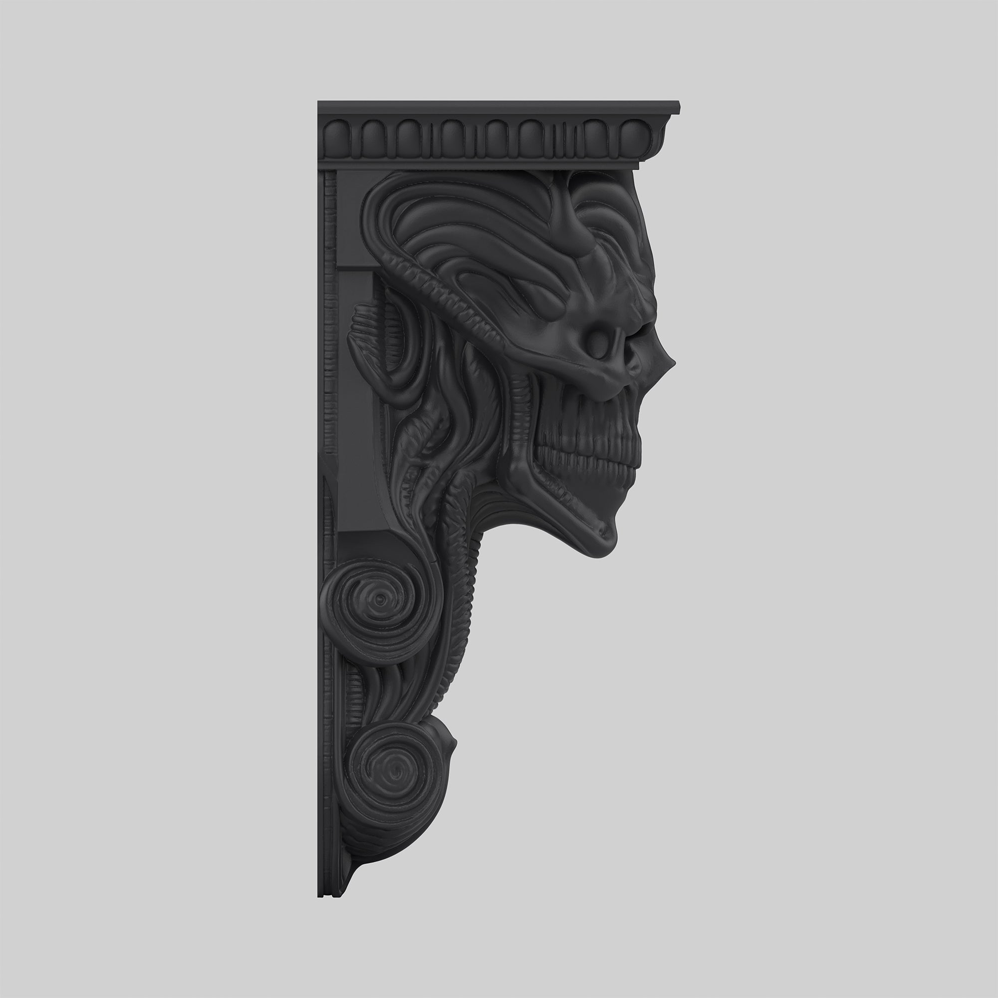 Kafatası Raf - Şakak