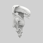 Alien Raf - Doğuş