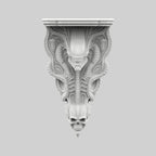 Alien Raf - General