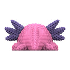 Aksolotl Can